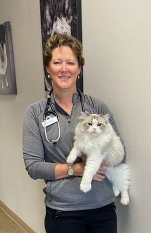 About Us | West Roseville Veterinary Hospital - West Roseville Veterinary  Hospital